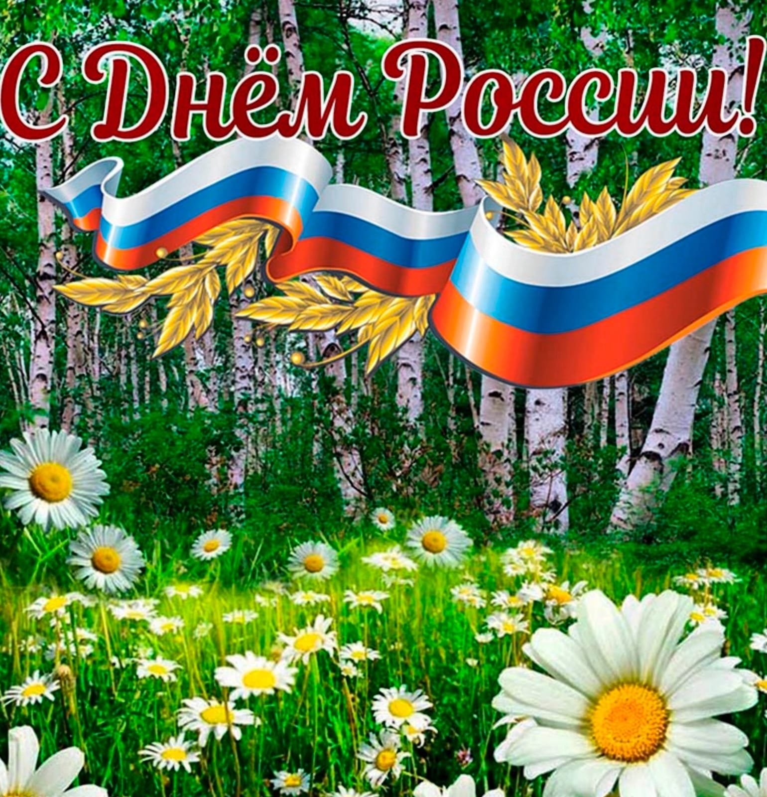 День России.